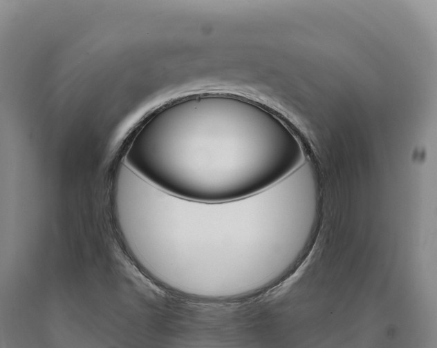 X0000090931502200707301104