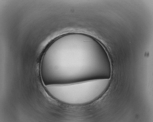 X0000090931503200707301104
