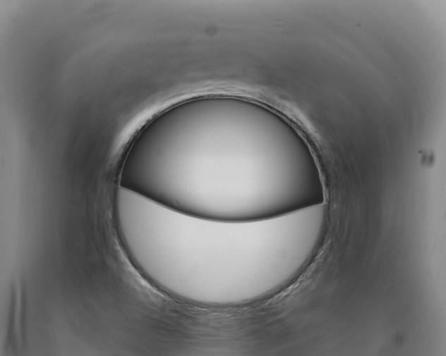 X0000090931504200707301104