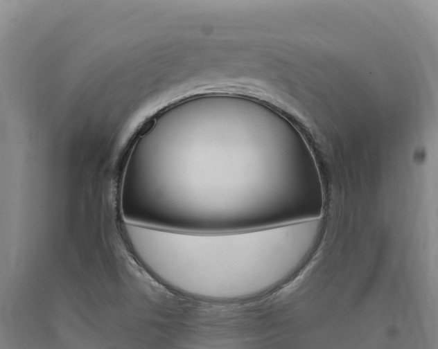 X0000090931506200707301104