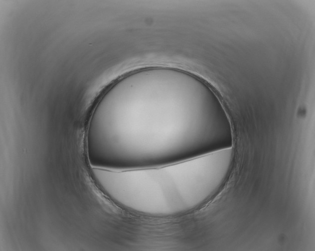 X0000090931507200707301104