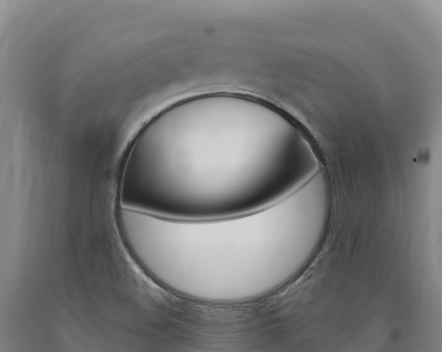 X0000090931508200707301104