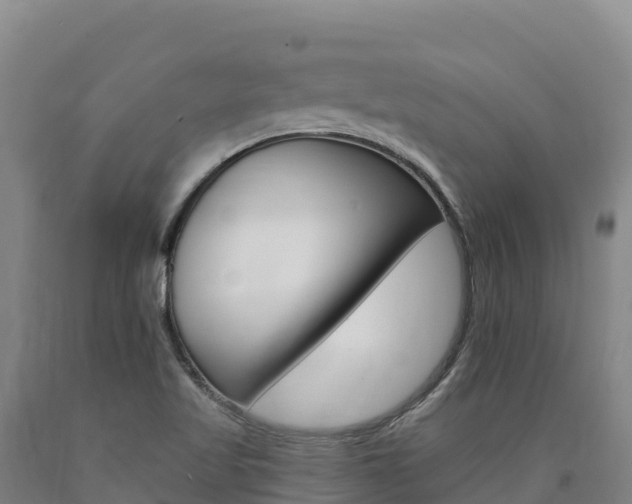 X0000090931509200707301104