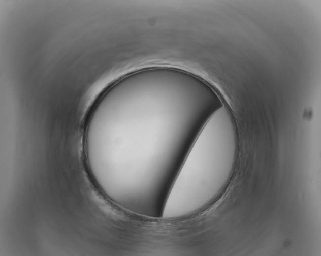X0000090931511200707301104