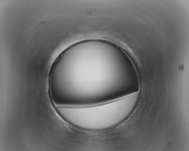 X0000090931512200707301104