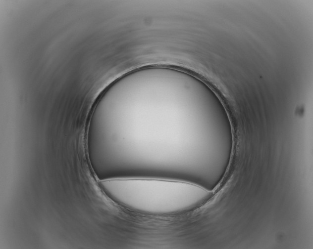 X0000090931513200707301104