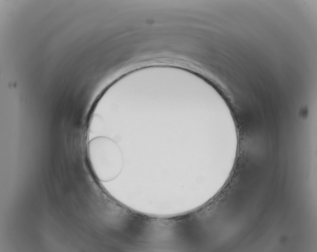 X0000090931514200707301104