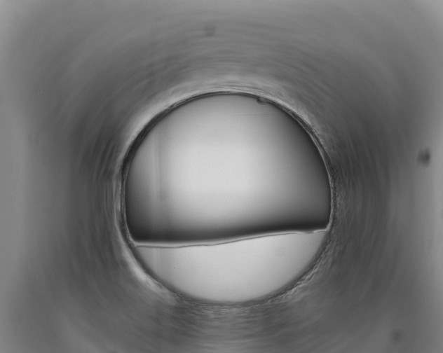 X0000090931515200707301104