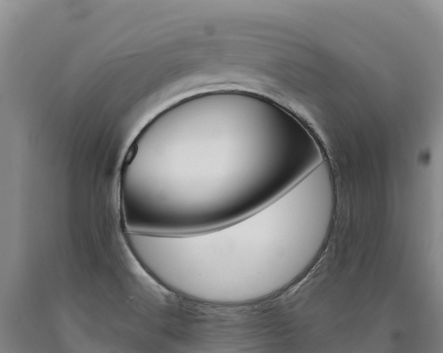X0000090931516200707301104