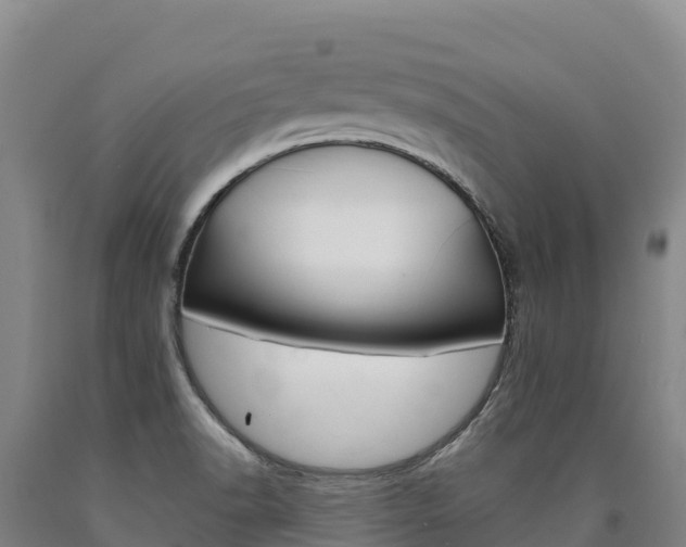 X0000090931518200707301104