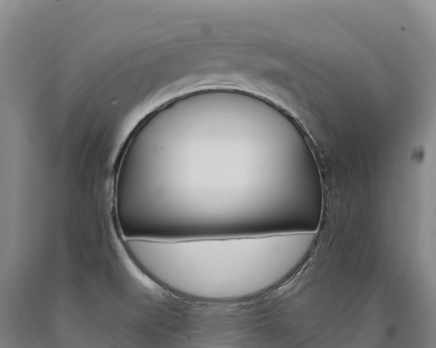 X0000090931519200707301104