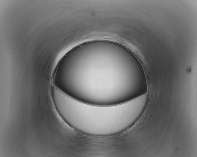 X0000090931520200707301104