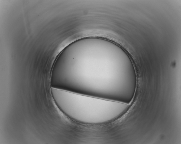 X0000090931521200707301104