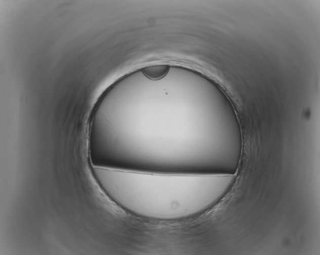 X0000090931522200707301104