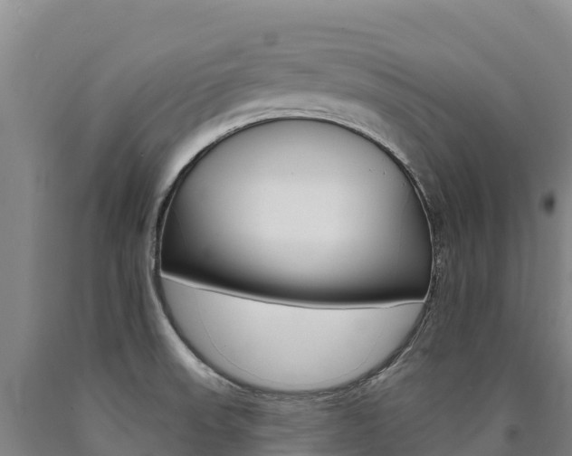 X0000090931523200707301104
