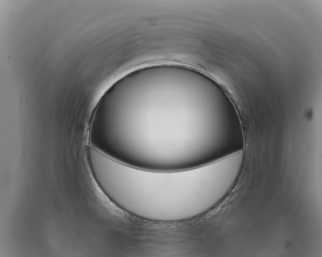 X0000090931524200707301104