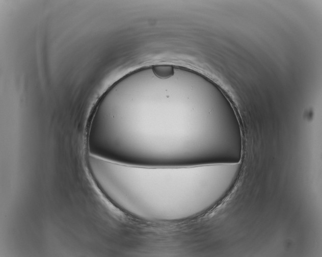 X0000090931525200707301104