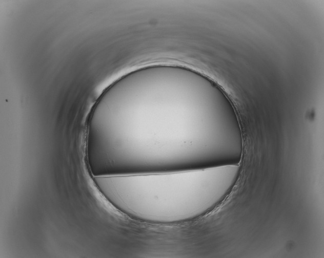 X0000090931526200707301104