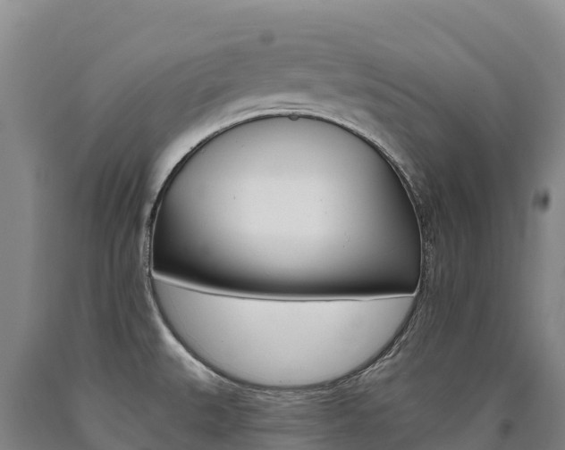 X0000090931527200707301104