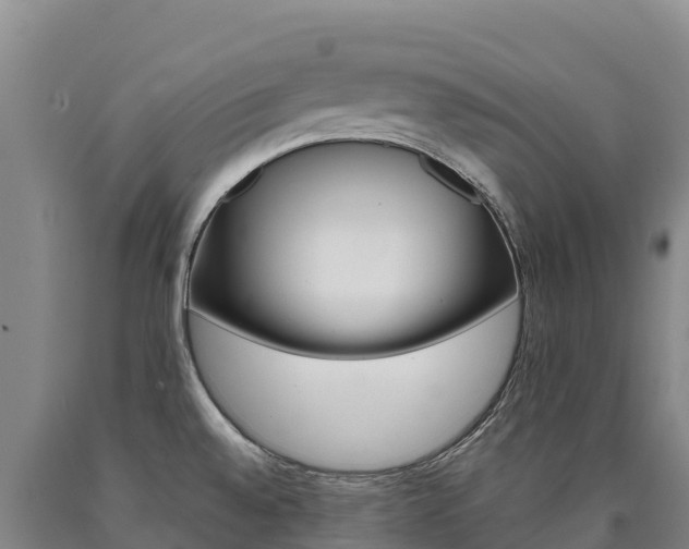 X0000090931528200707301104