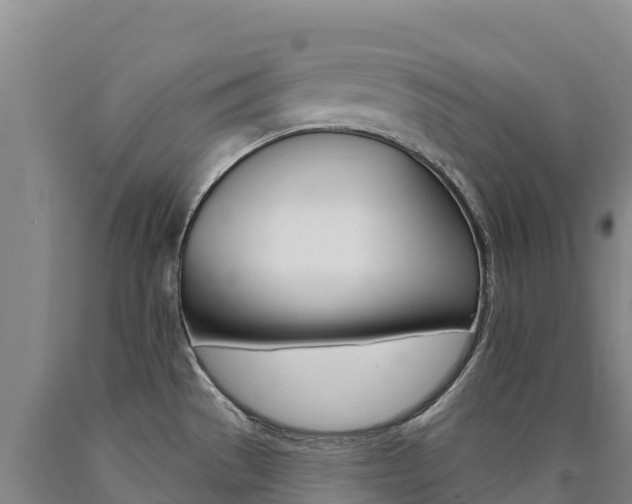 X0000090931529200707301104