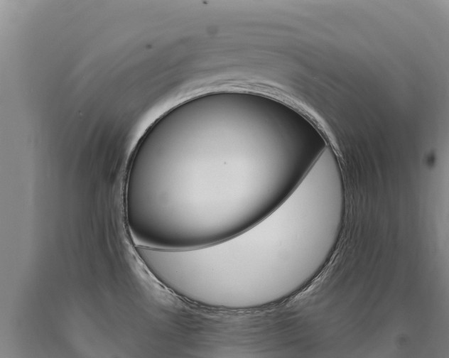 X0000090931530200707301104