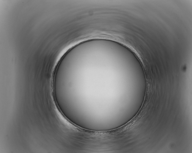 X0000090931531200707301104