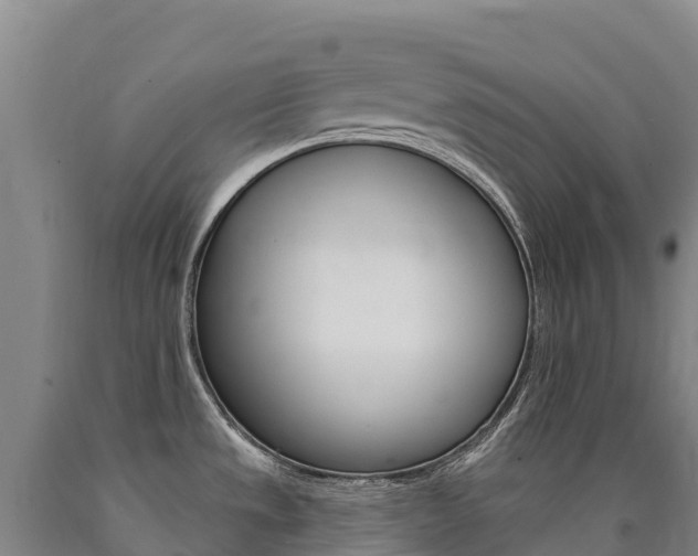 X0000090931533200707301104