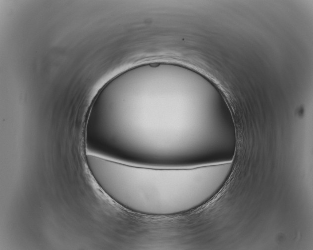X0000090931534200707301104