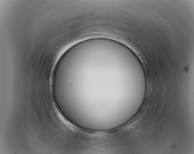 X0000090931535200707301104