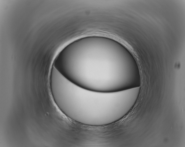 X0000090931536200707301104