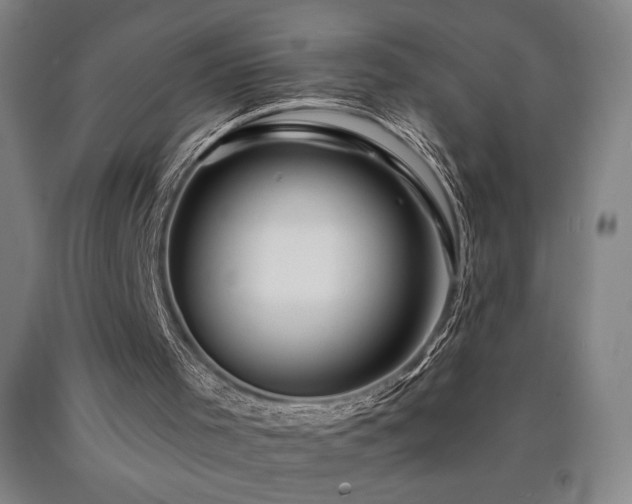 X0000090930001200707301605