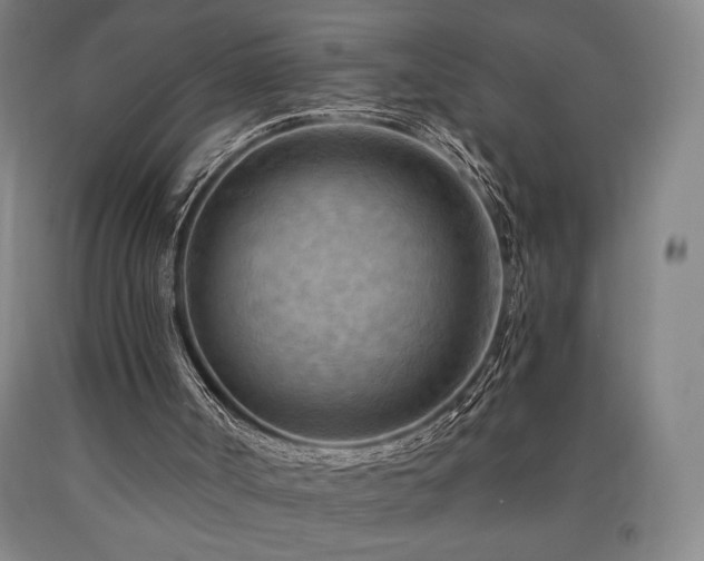 X0000090930002200707301605