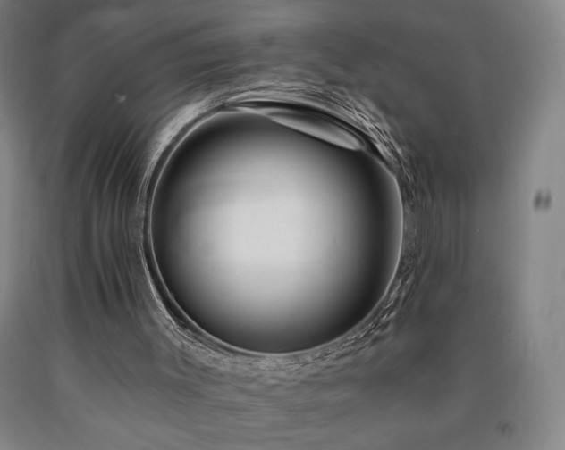 X0000090930003200707301605