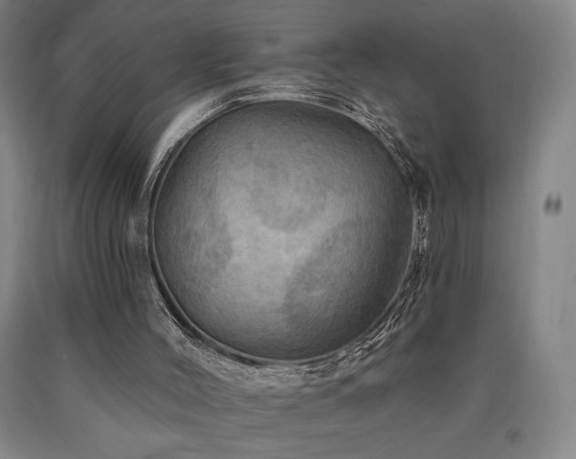 X0000090930004200707301605