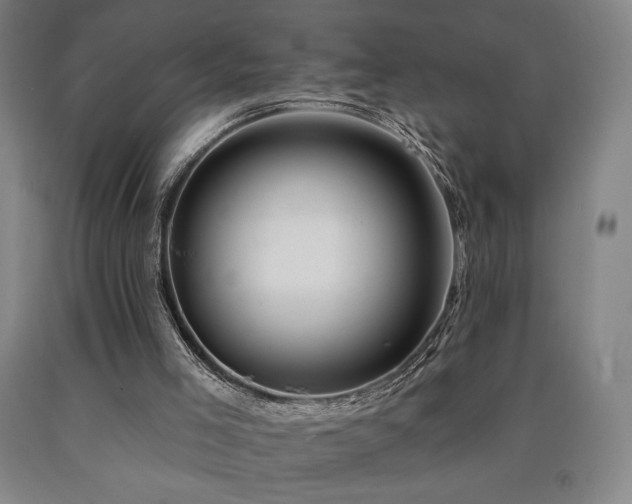 X0000090930005200707301605
