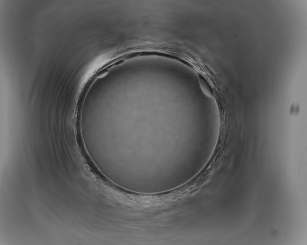 X0000090930006200707301605