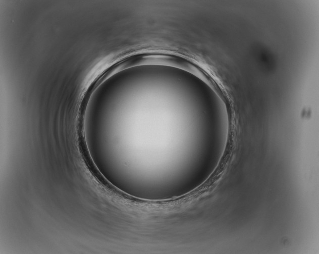 X0000090930007200707301605