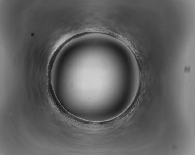 X0000090930008200707301605