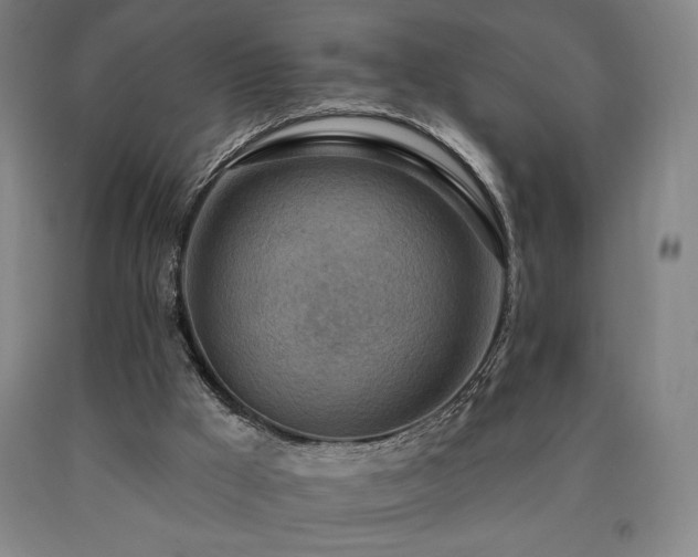 X0000090930009200707301605