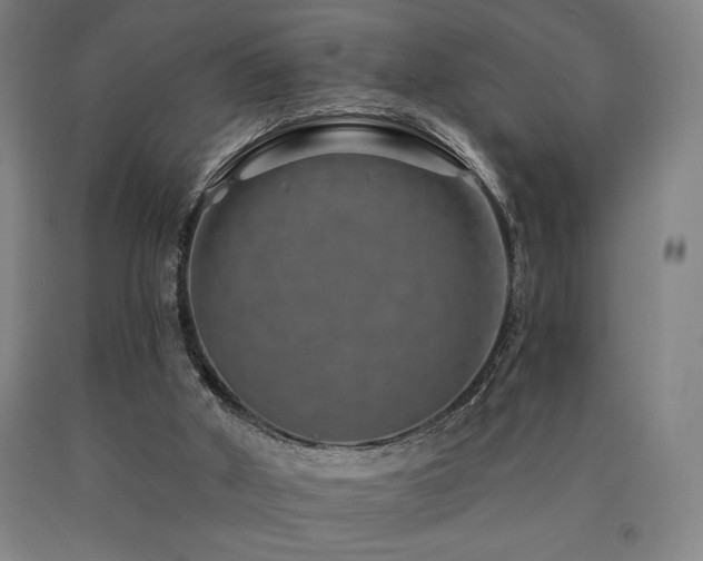 X0000090930010200707301605