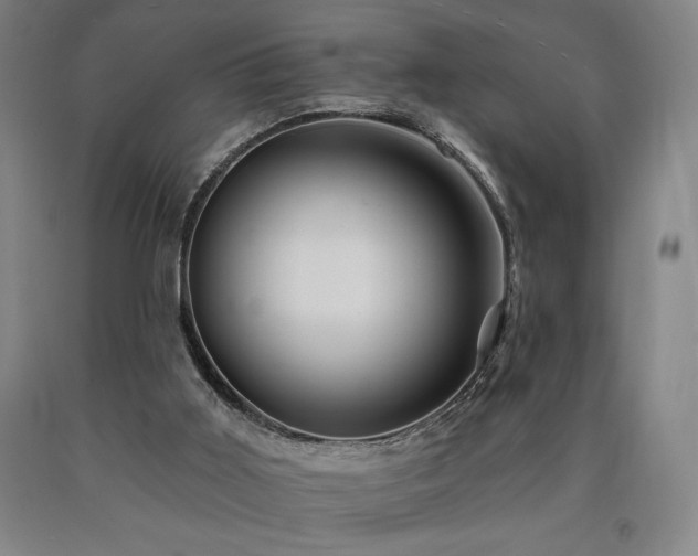 X0000090930011200707301605