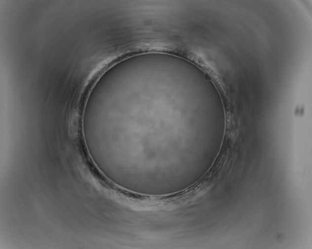 X0000090930012200707301605