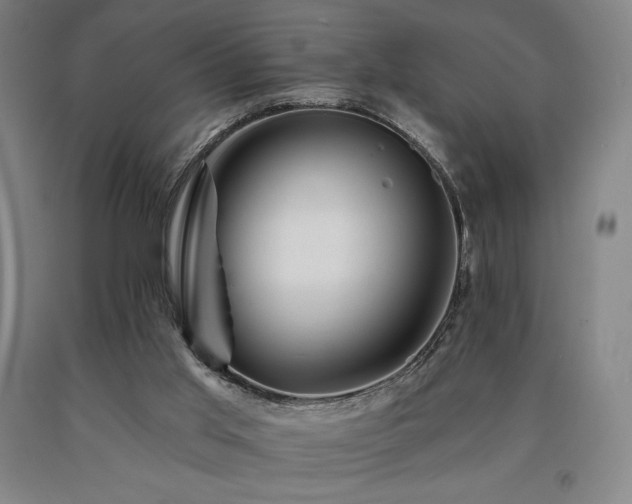 X0000090930013200707301605