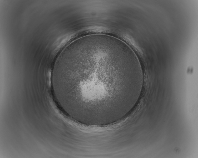 X0000090930014200707301605