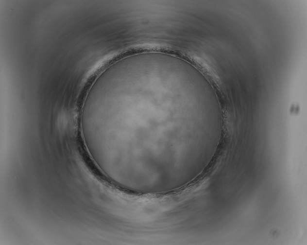 X0000090930016200707301605