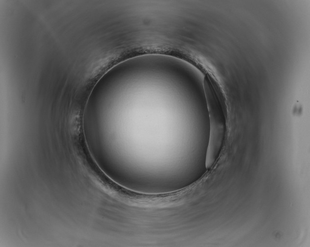 X0000090930017200707301605