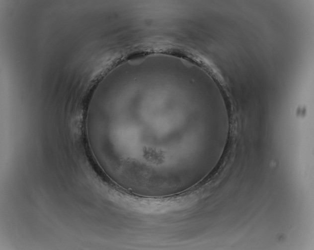 X0000090930018200707301605