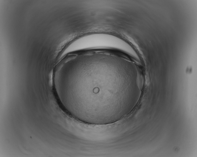 X0000090930019200707301605