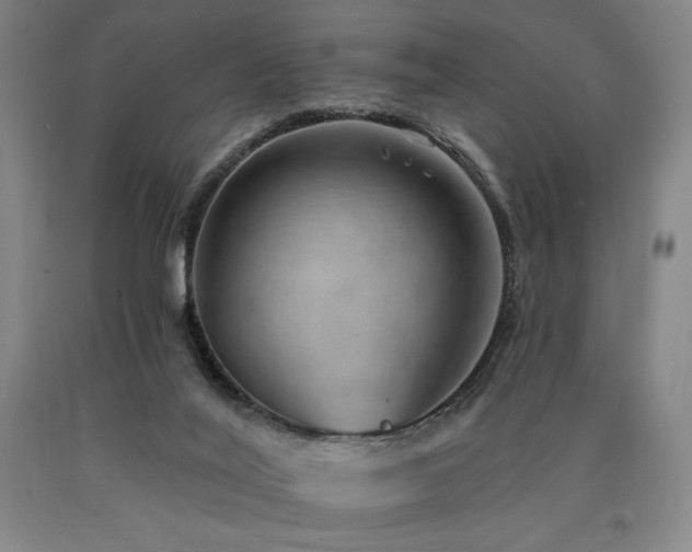X0000090930020200707301605
